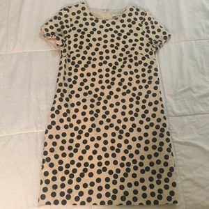 J crew polka dot dress
